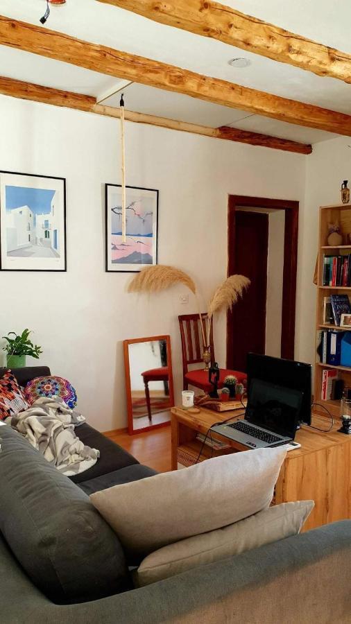 Entire House In The Heart Of Kozana Appartement Dobrovo Buitenkant foto